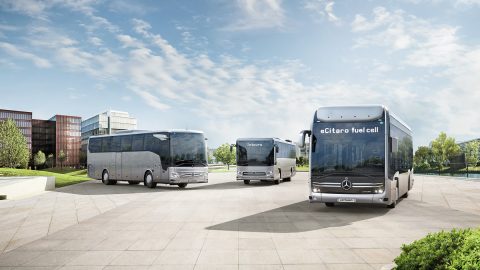 Uluslararası büyük filolar